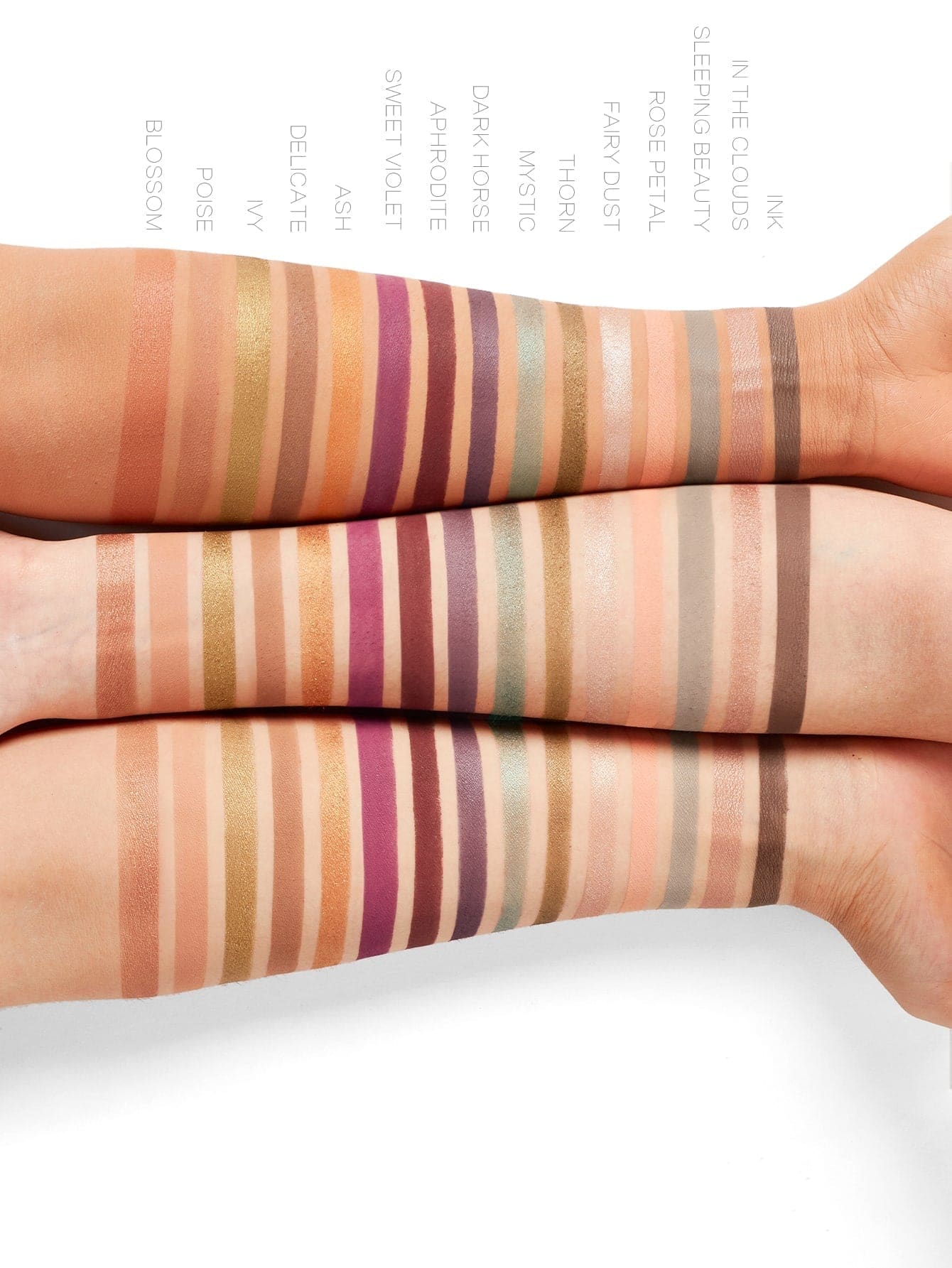 CENTURIES PALETTE